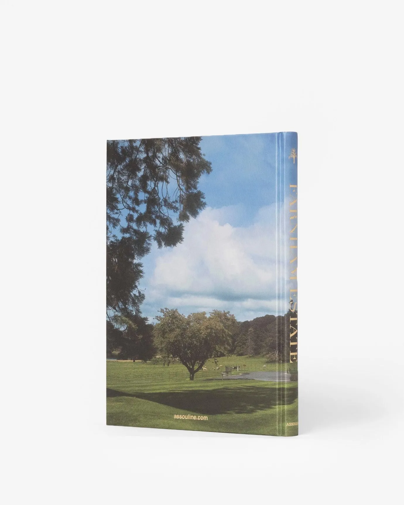 Assouline Architecture Et Conception<Farnham Estate : A L'Interieur Du Domaine Irlandais Historique