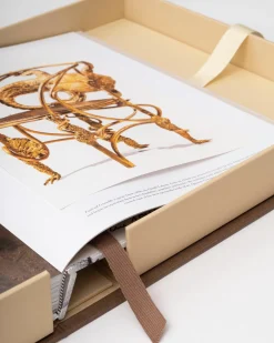 Assouline Art<Lalanne : Un Monde De Poesie
