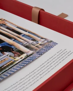 Assouline Architecture Et Conception<Mosquees : Les 100 Lieux De Culte Islamiques Les Plus Emblematiques