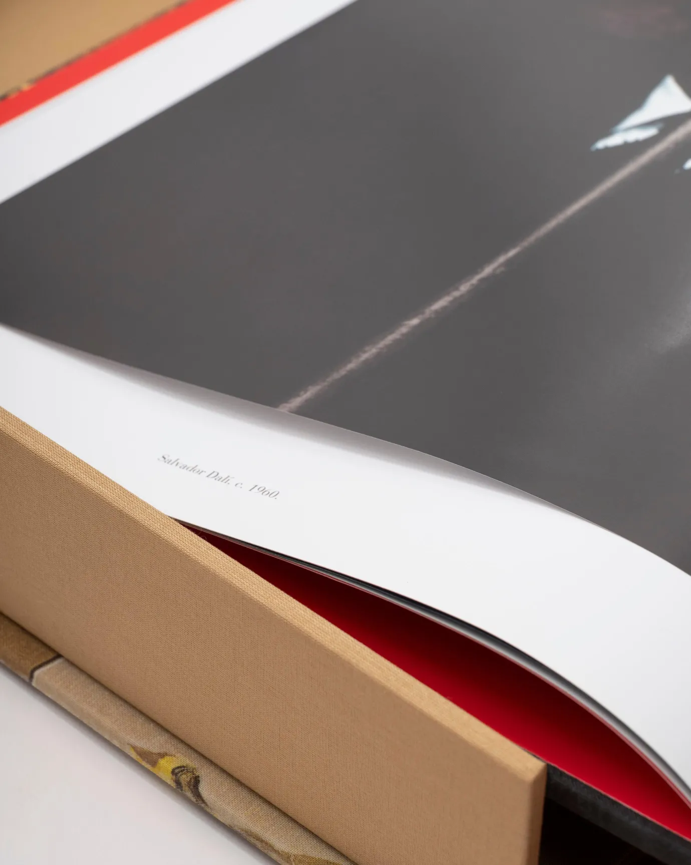 Assouline Art<Salvador Dali : L'Impossible Collection